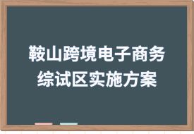 打造跨境電子商務(wù)直播之城，中國(guó)（鞍山）跨境電子商務(wù)綜合試驗(yàn)區(qū)實(shí)施方案印發(fā)